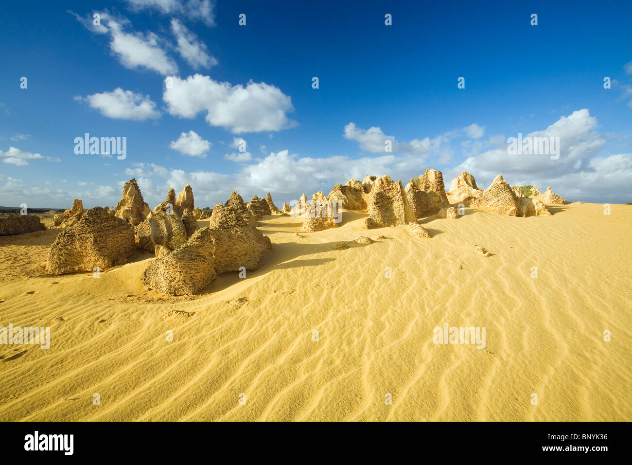 Kalkstein-Formationen der Pinnacles Desert im Nambung National Park. Cervantes, Western Australia, Australien. Stockfoto