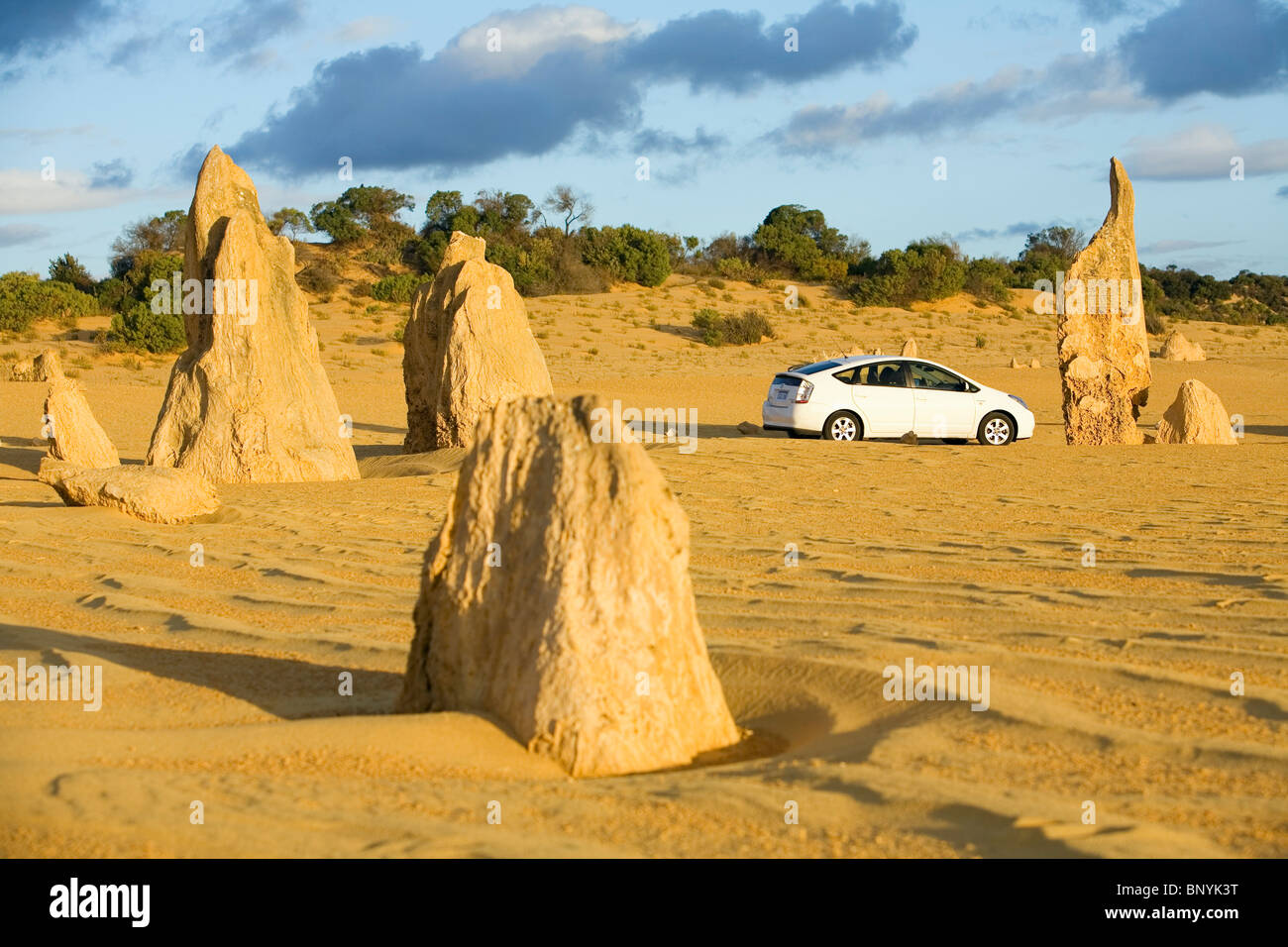 Fahrt durch die Kalksteinsäulen der Pinnacles Desert. Nambung National Park, Cervantes, Western Australia, Australien Stockfoto