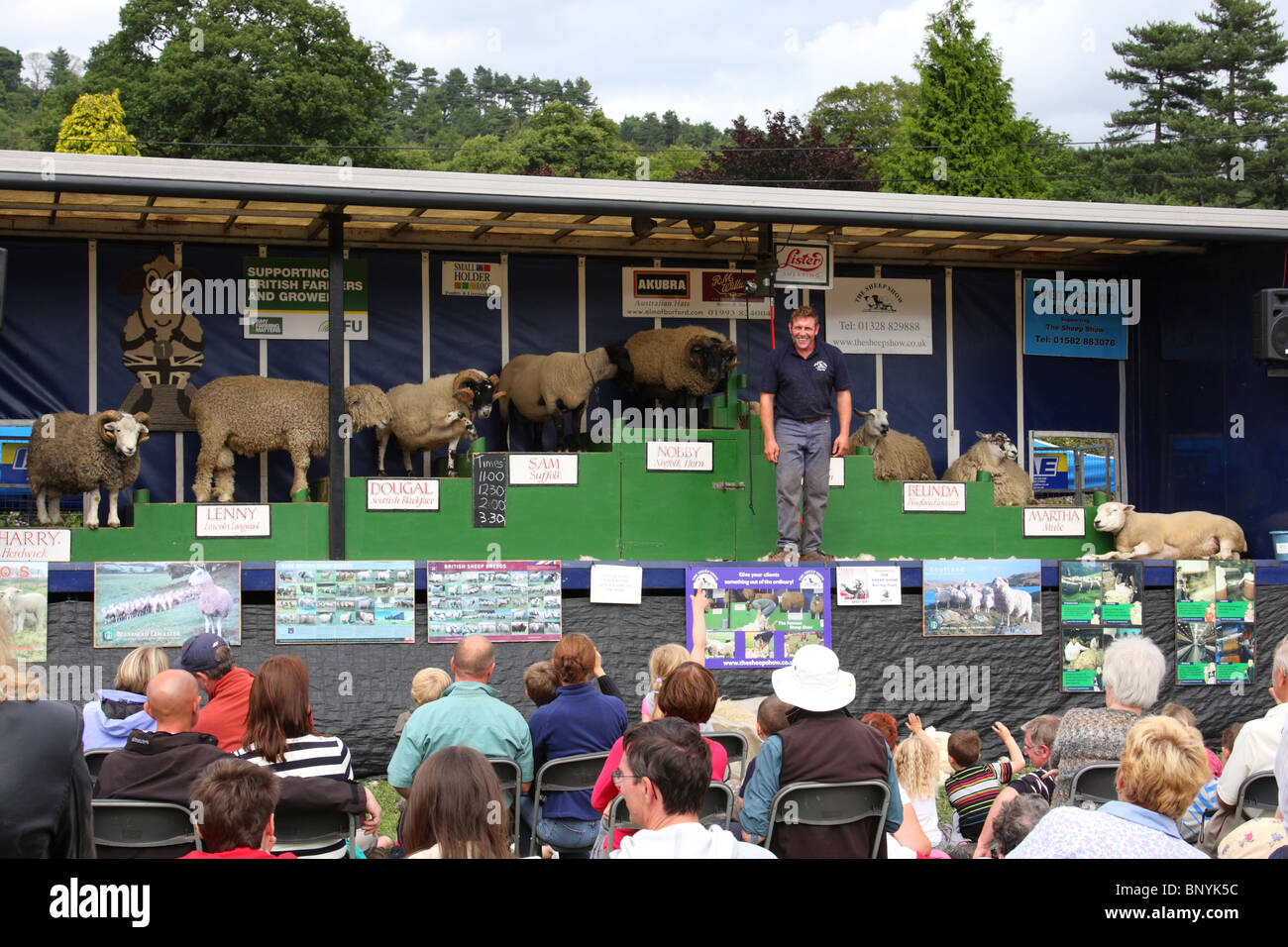 Verschiedene Schafrassen bei einer Landwirtschaft Bewusstsein Demonstration in Bakewell Show, Bakewell, Derbyshire, England, Großbritannien Stockfoto