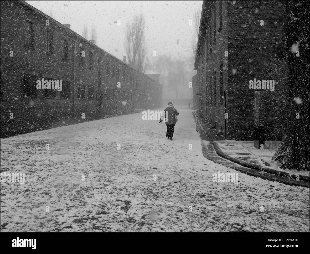 Auschwitz Stockfoto