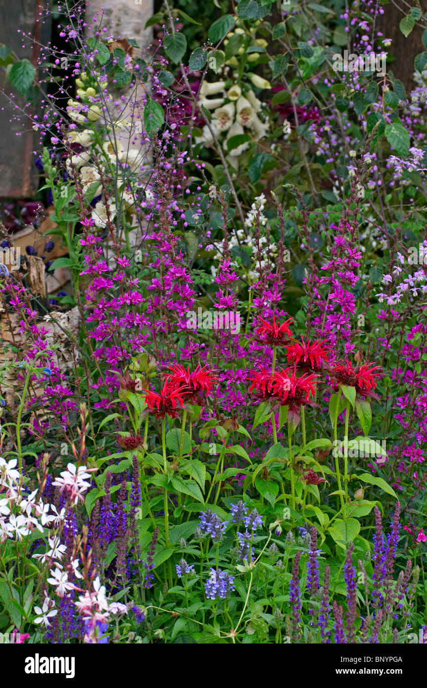 Eine bunt gemischte Blume Grenze mit Monarda "Cambridge Scarlet" Stockfoto