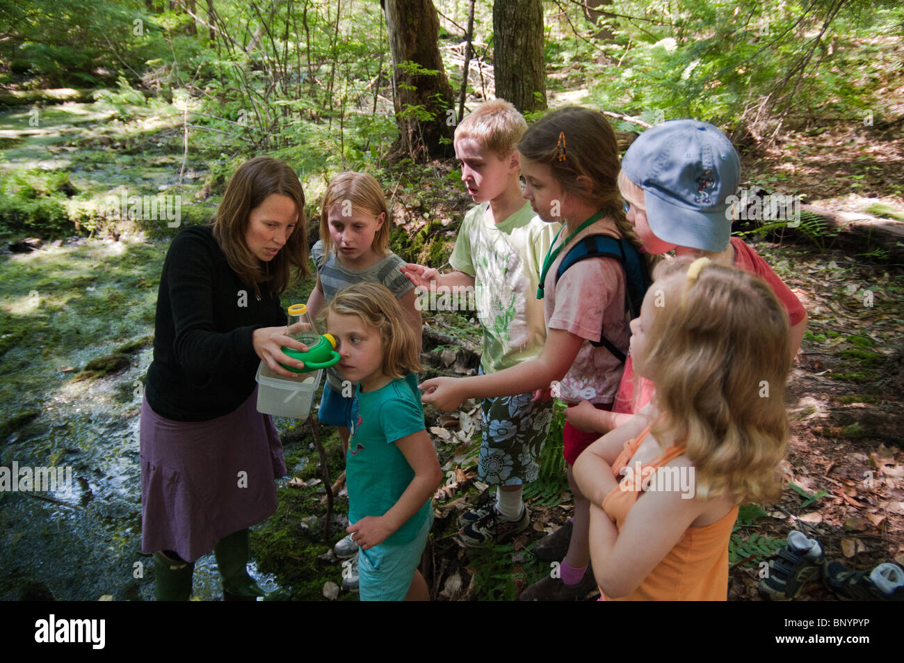 Eine Gruppe von 6,7 und 8 jährigen Studie Mückenlarven in einem Sumpf auf Three Mile Island. Stockfoto