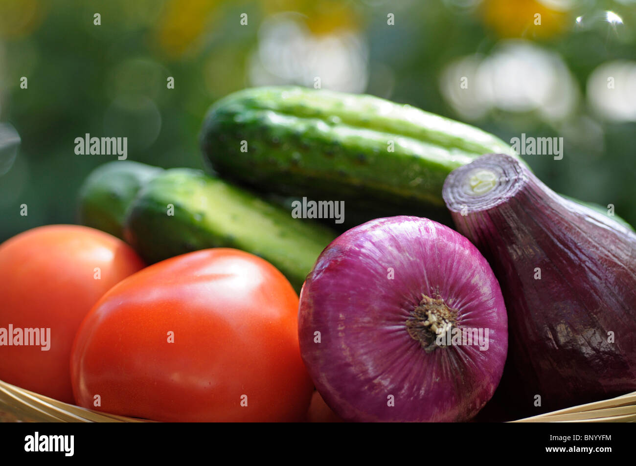 Gemüse, roh - roten Zwiebeln, Gurken, Tomaten Stockfoto