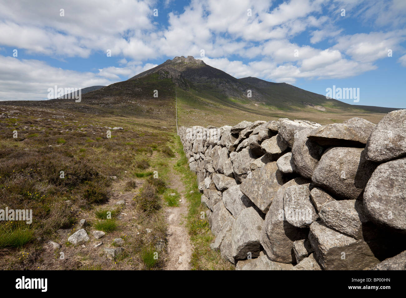 Trockenmauer führt zu Slieve Binian, Mourne Mountains, County Down, Nordirland, Vereinigtes Königreich Stockfoto