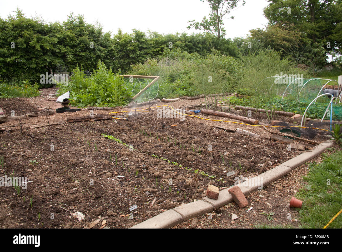 Traditionelle Gemüse oder Küchengarten, Hampshire, England. Stockfoto