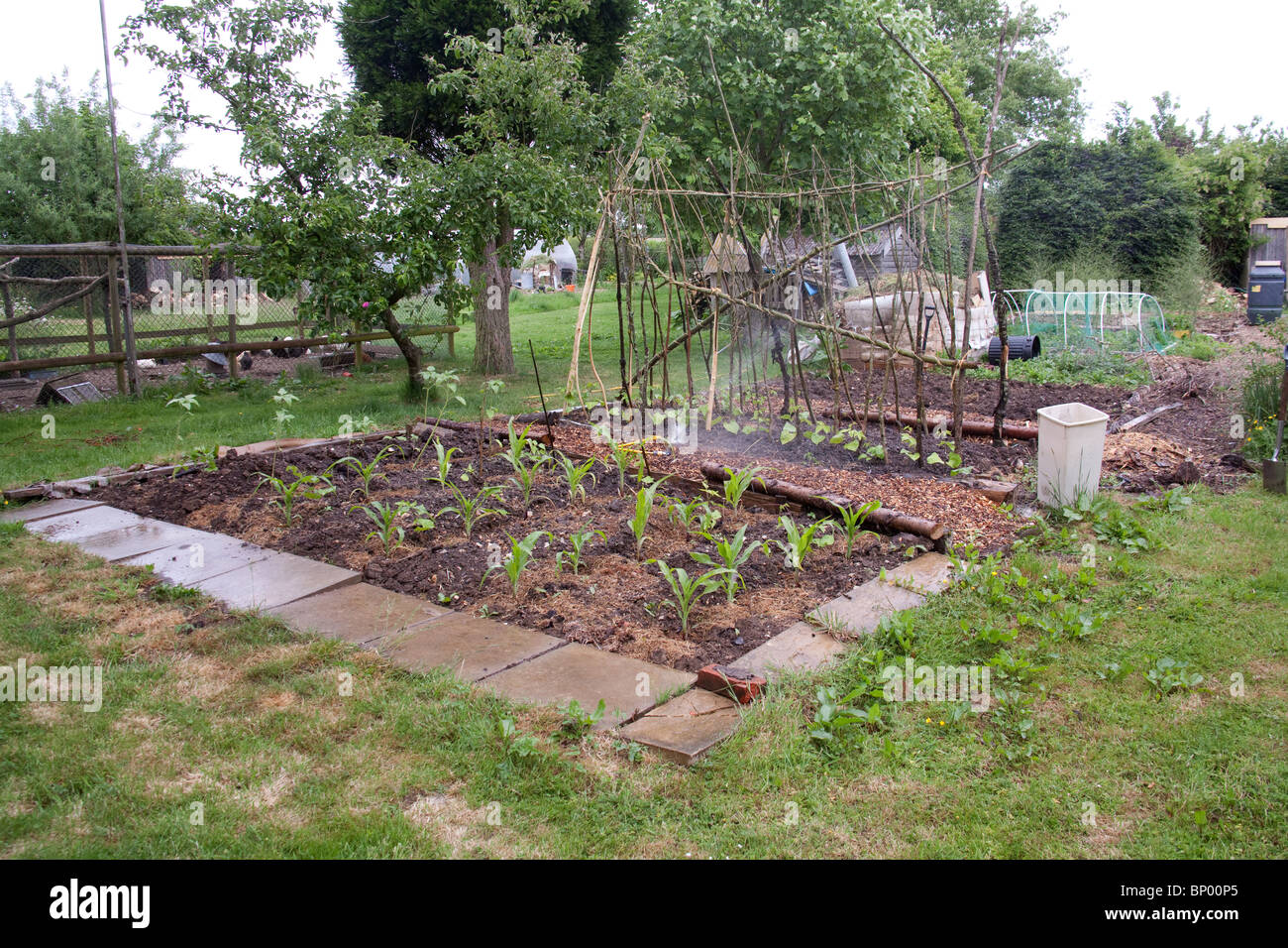Traditionelle Gemüse oder Küchengarten, Hampshire, England. Stockfoto