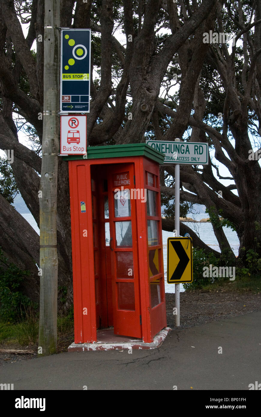 Hölzerne Telefon Box und Pohutukawa Bäume neben Bushaltestelle, Wellington, Nordinsel, Neuseeland Stockfoto