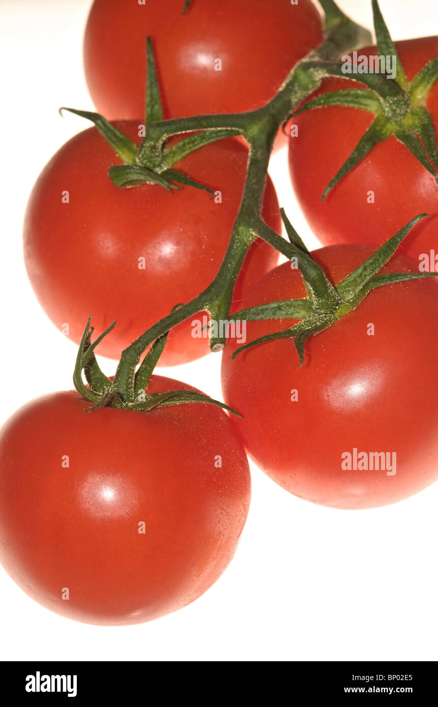 Ausgeschnittene Bilder von Bio-Tomaten Stockfoto
