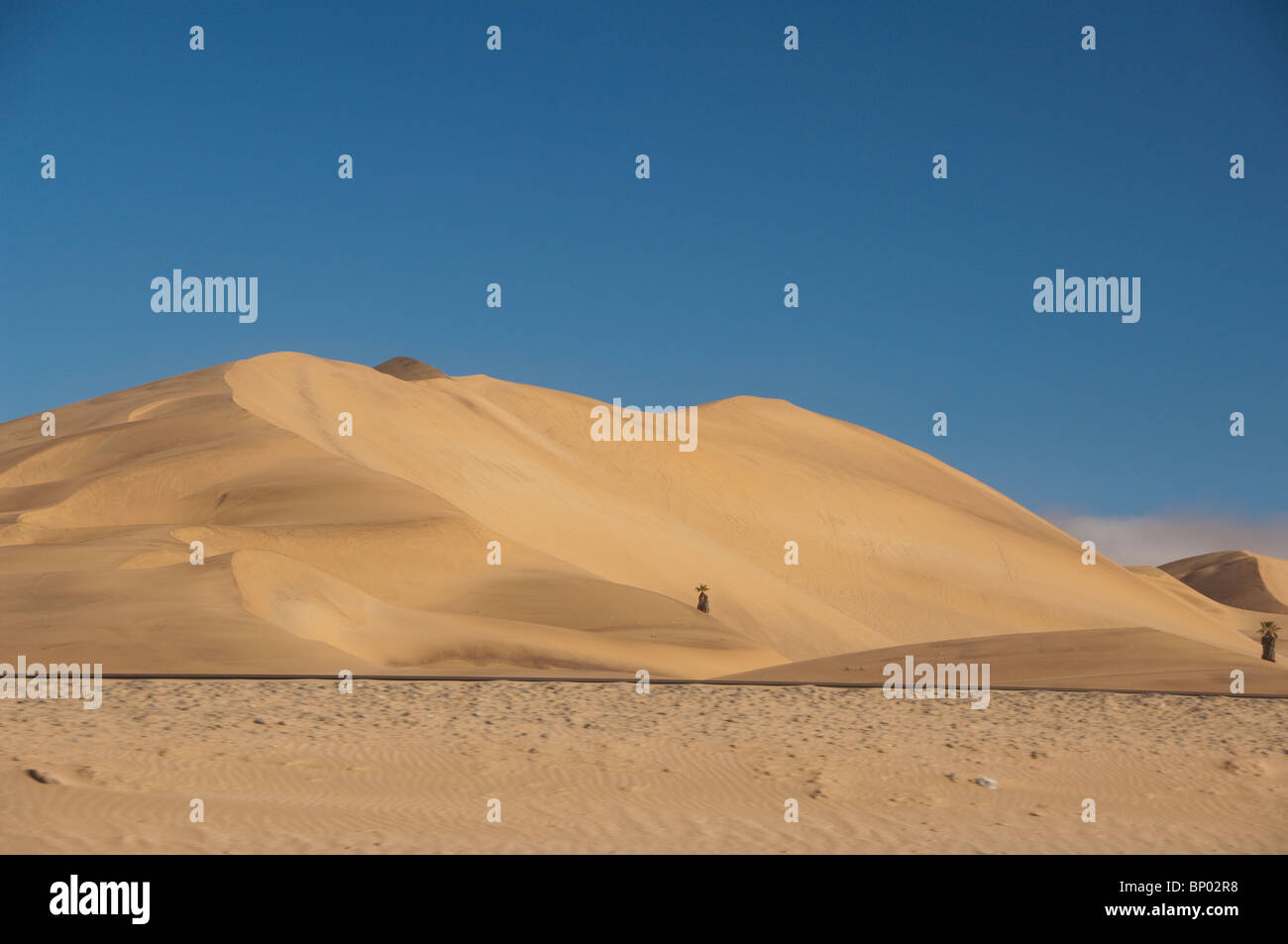 Afrika, Namibia, Walvis Bay. Sand Dünen an der Küste zwischen Walvis Bay & Swakopmund, berühmten Dune 7. Stockfoto