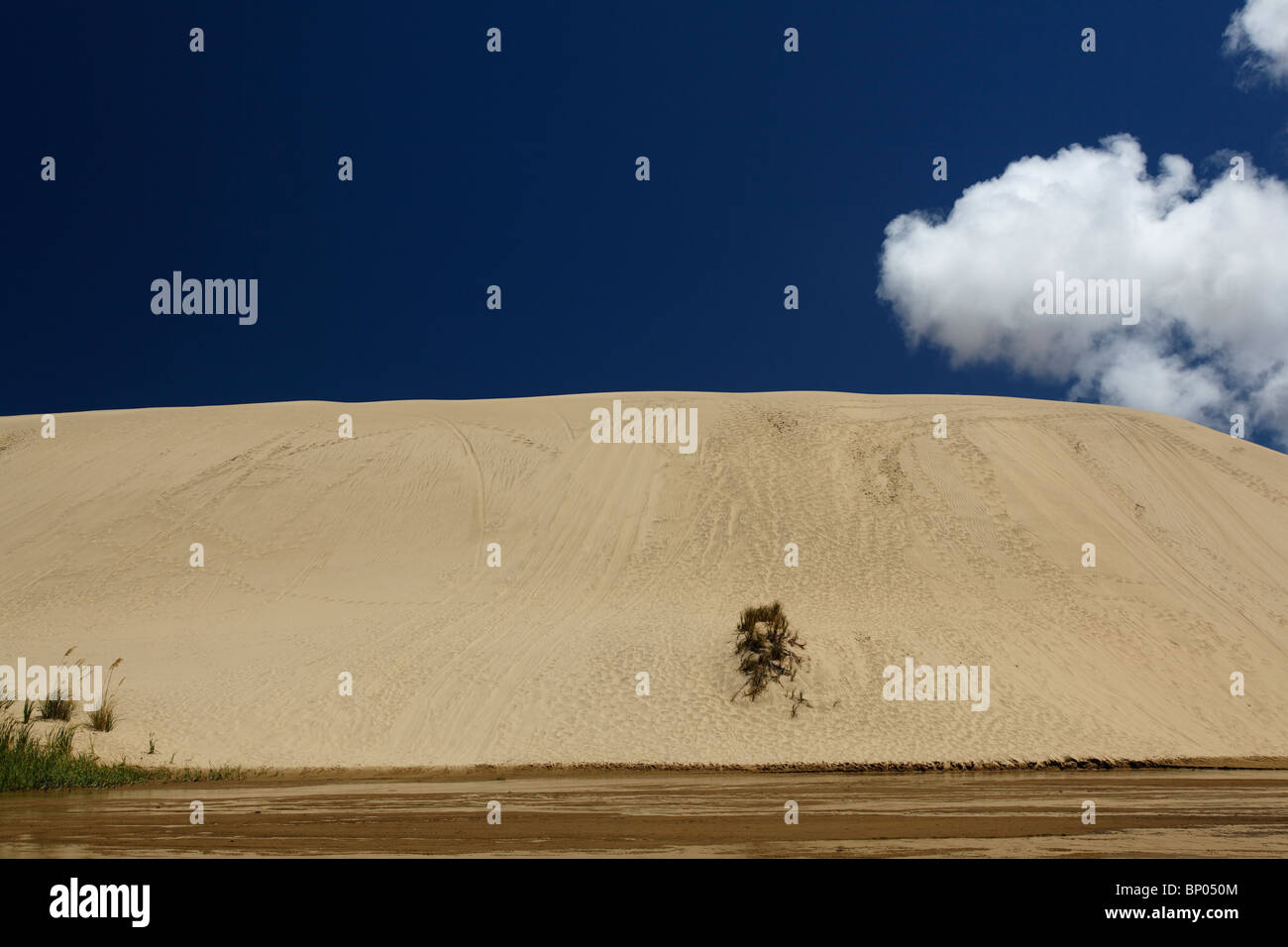 Der Te Paki Dampf und Sanddünen im neuen Neuseelands Northland. Stockfoto