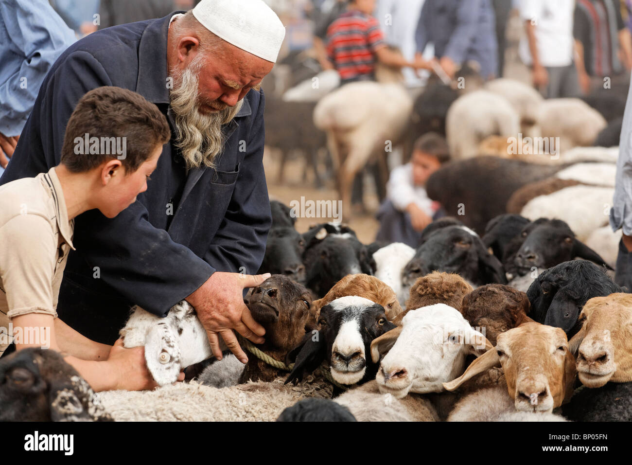 China - Xinjiang Provinz - Kashgar - Sonntagsmarkt Stockfoto