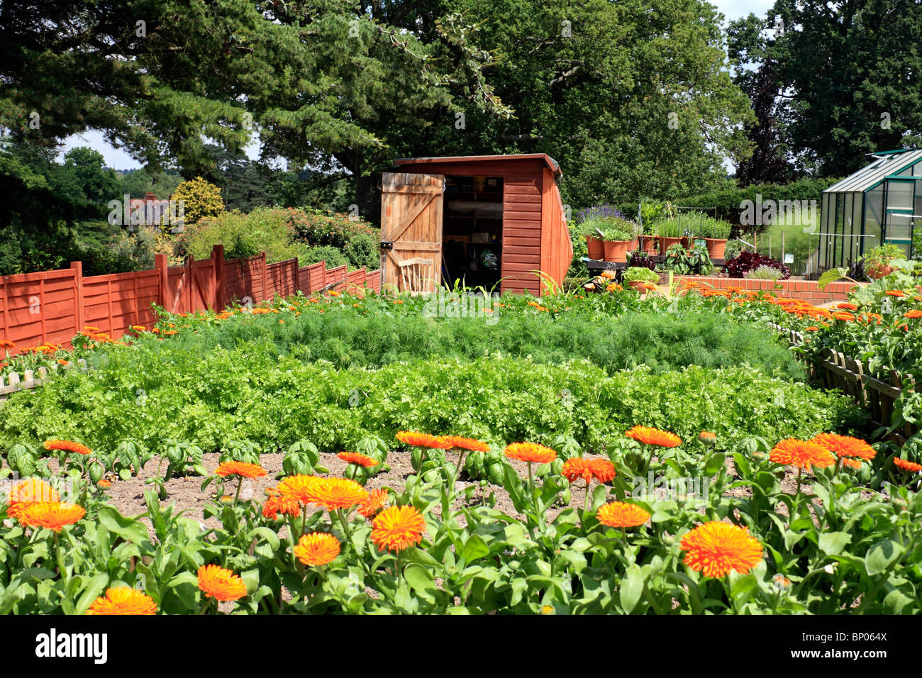 Gemüsesorten eine Zuteilung, Surrey, England, UK Stockfoto