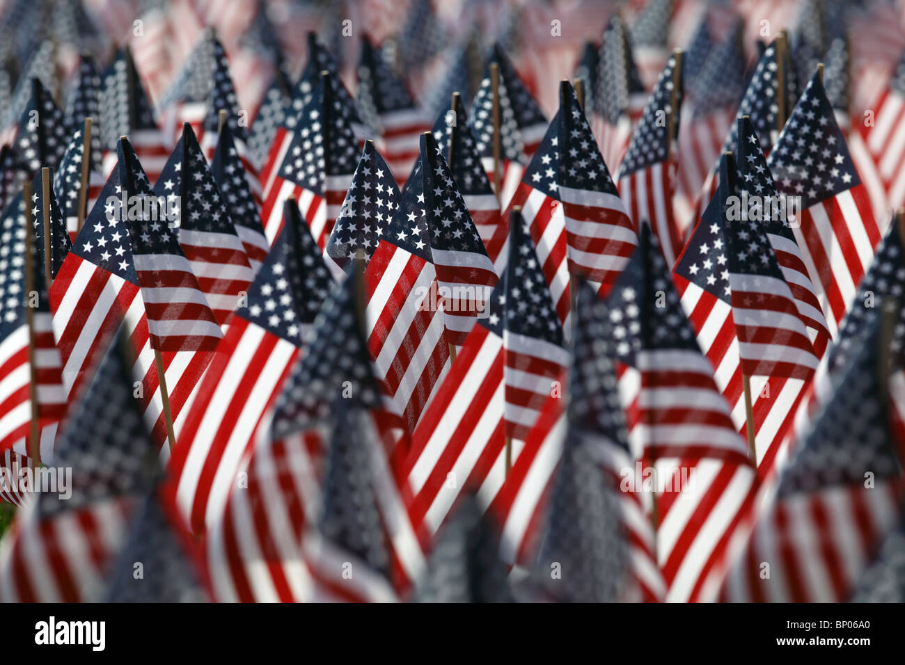 Bereich der amerikanischen Flaggen auf Boston Common, Krieg tot, Boston, Massachusetts zu Ehren Stockfoto