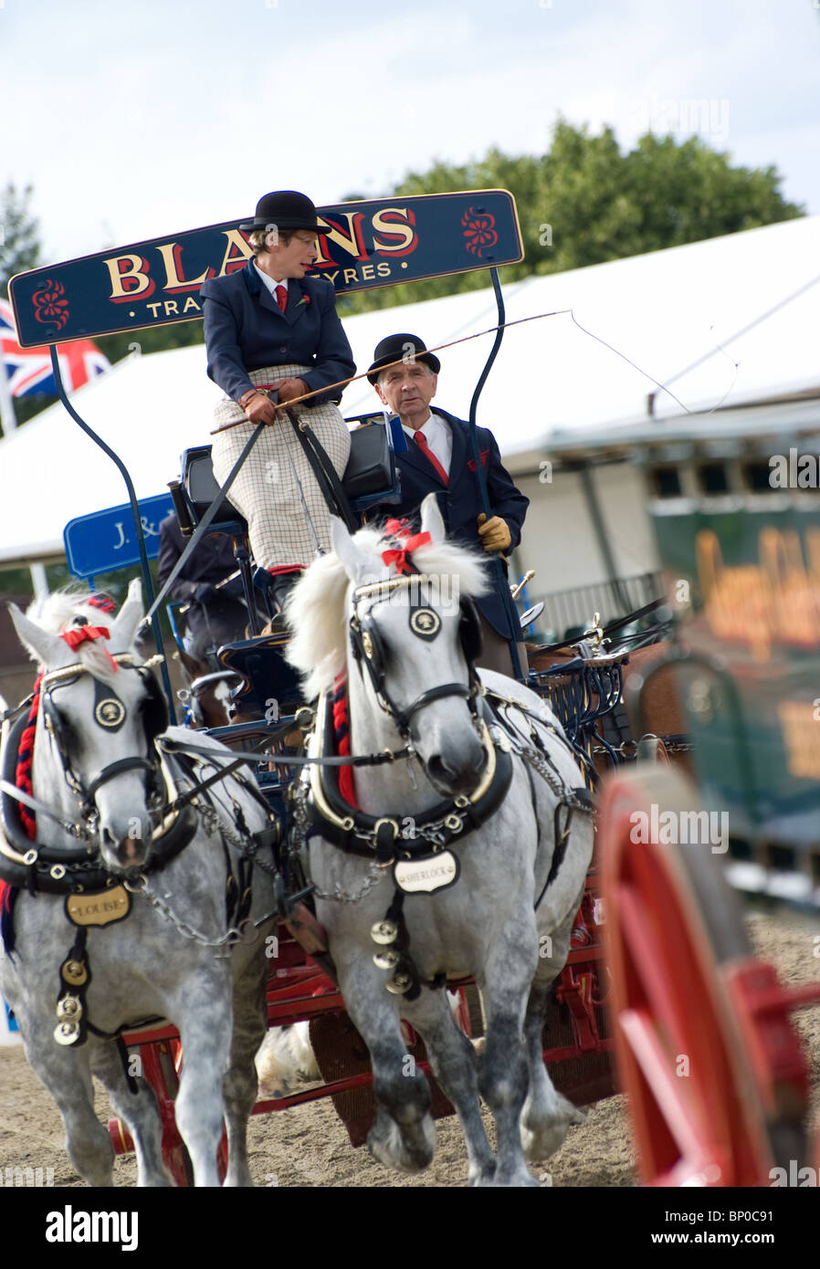 Percharon Arbeitspferde auf dem königlichen Festival des Pferdes, 10. Juli 2010 Stockfoto