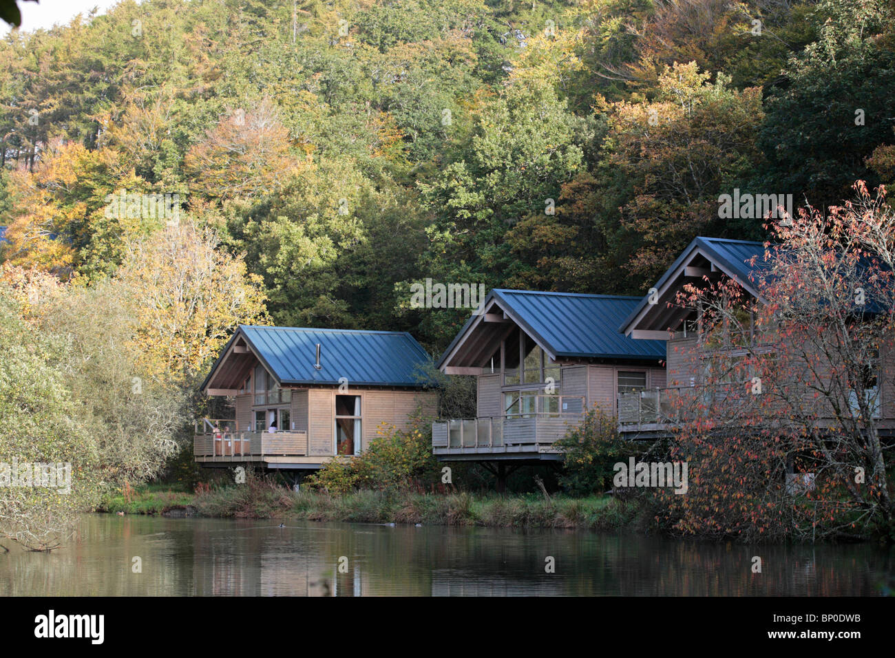 England, Cornwall, Deer Park. Wald Urlaub Hütten am Rande eines Sees, umgeben von Wäldern. Stockfoto