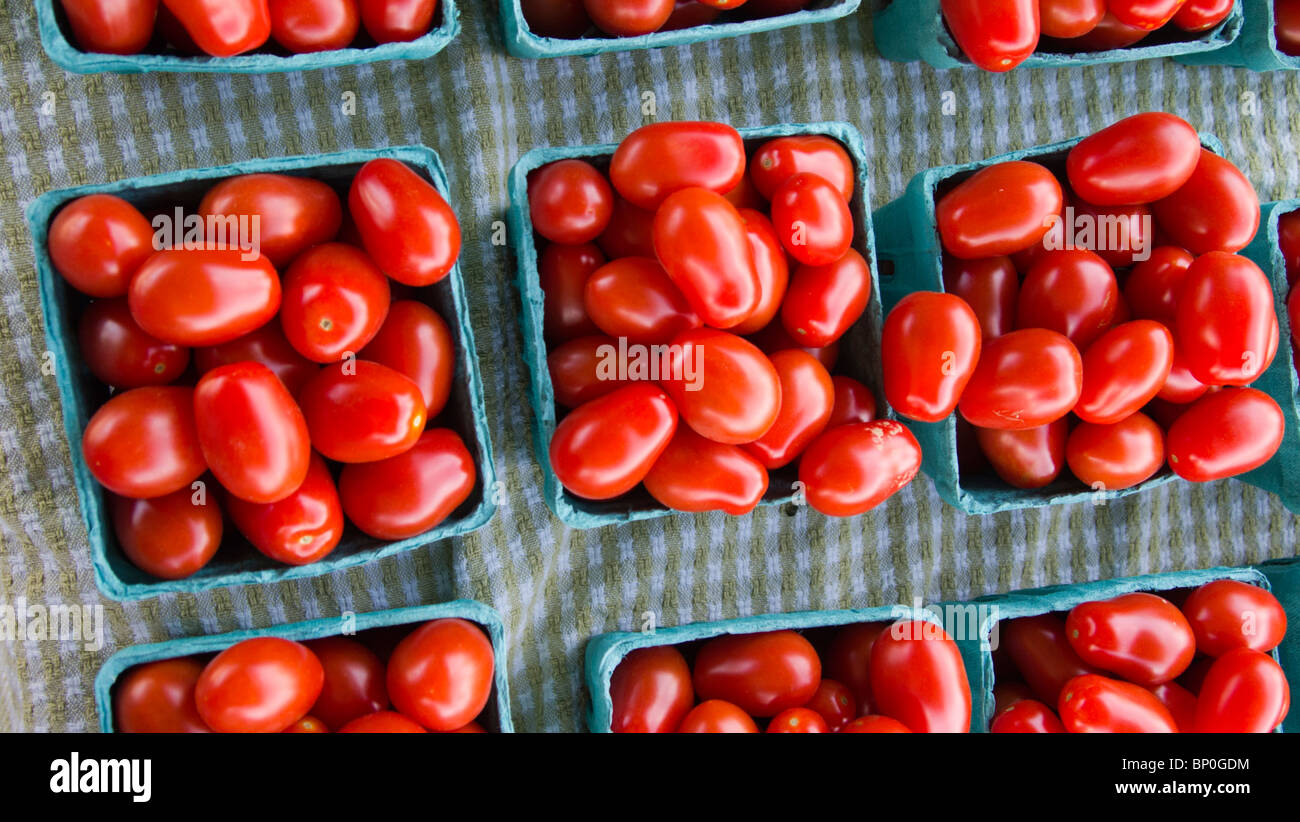 Cherry-Tomaten, Bauernmarkt, Westfield, New Jersey, USA Stockfoto