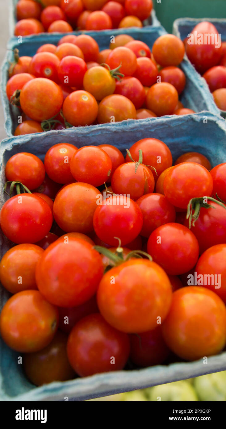 Traube Tomaten bei einem Bauern-Markt, New Jersey, USA Stockfoto