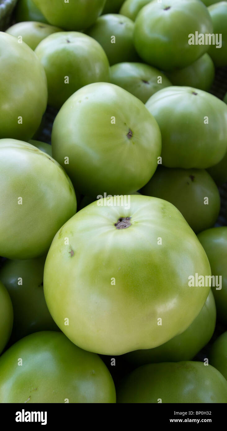 Grüne Tomaten, Bauernmarkt, Westfield, New Jersey, USA Stockfoto