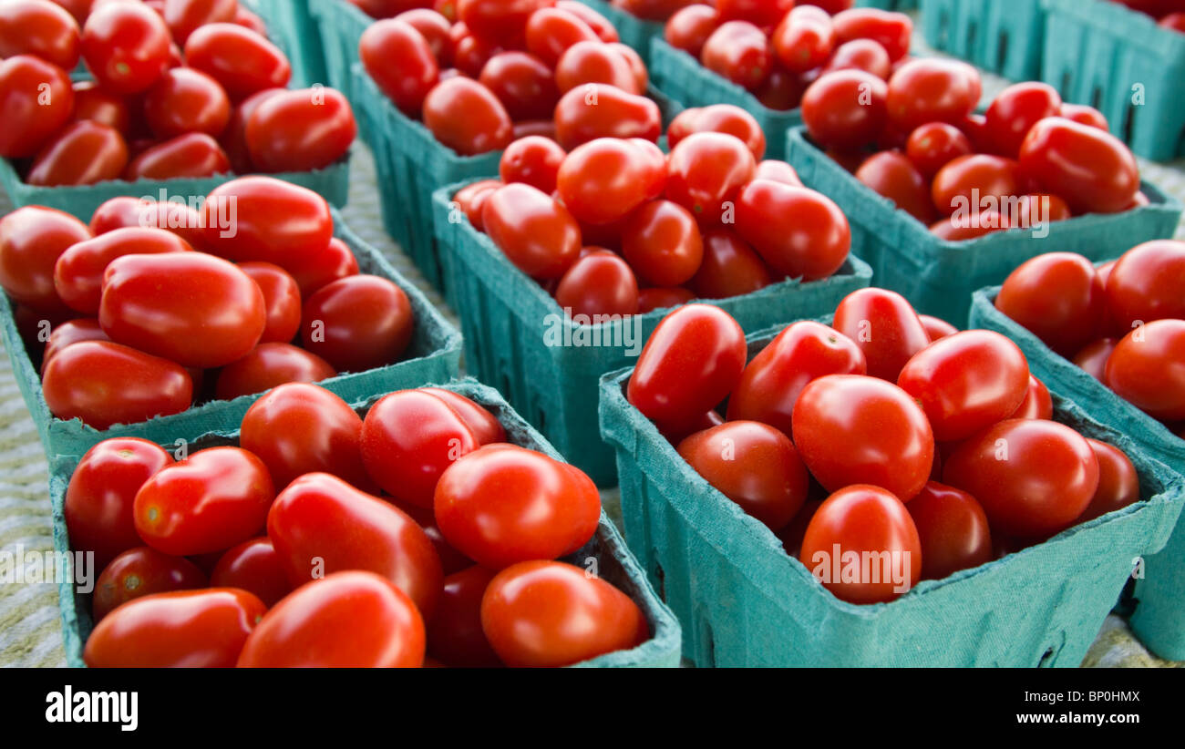 Cherry-Tomaten auf Display, Bauernmarkt, Westfield, New Jersey, USA Stockfoto