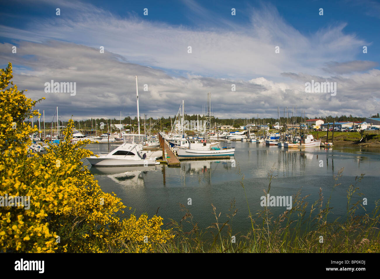 Charleston Harbor auf der Pazifik-Küste von Oregon Stockfoto