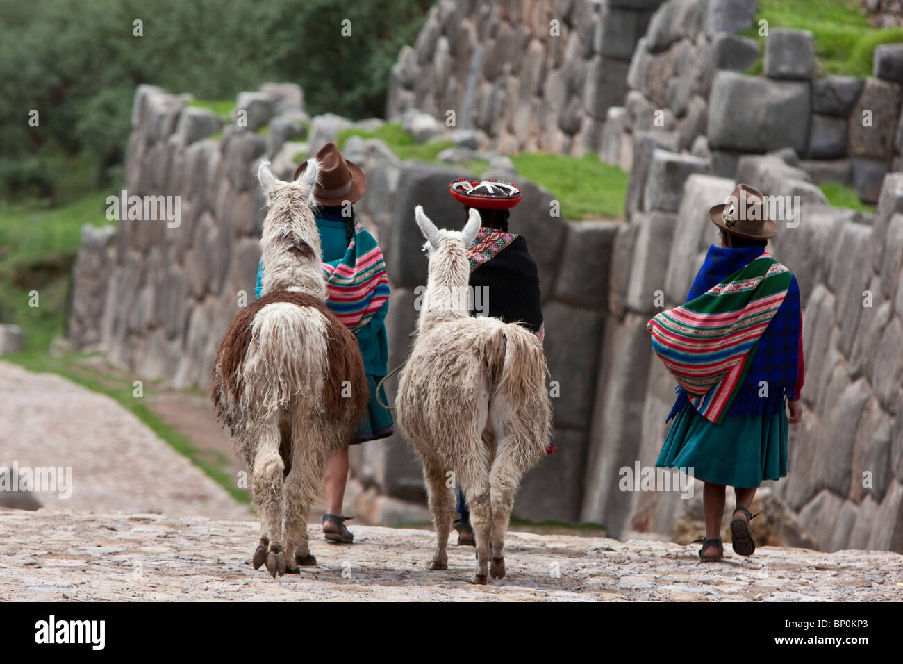 Peru, führen einheimische indische Frauen ihre Lamas vorbei an den Ruinen von Saqsaywaman, von den Inkas auf Prä-Inka-Fundamenten errichtet. Stockfoto