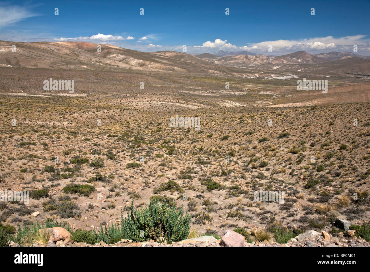Peru, das düstere Altiplano der hohen Anden zwischen Arequipa und der Colca Canyon. Stockfoto