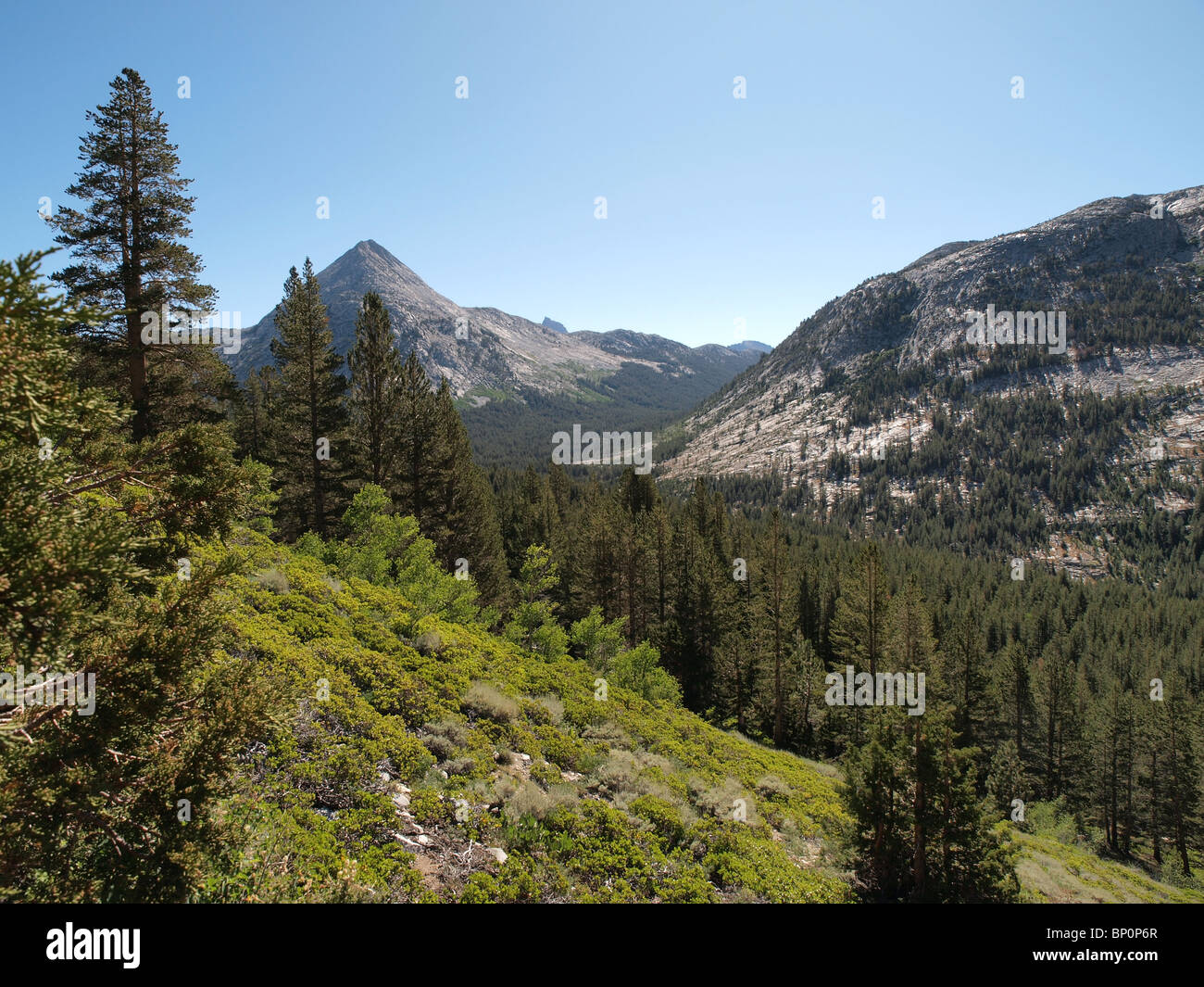 Piute Canyon in der John Muir Wildnis der Sierra National Forest Stockfoto
