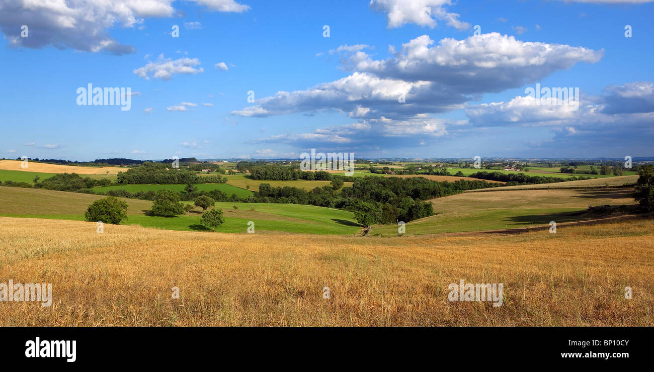 Frankreich, Midi-Pyrénées, Tarn, Landschaft Stockfoto