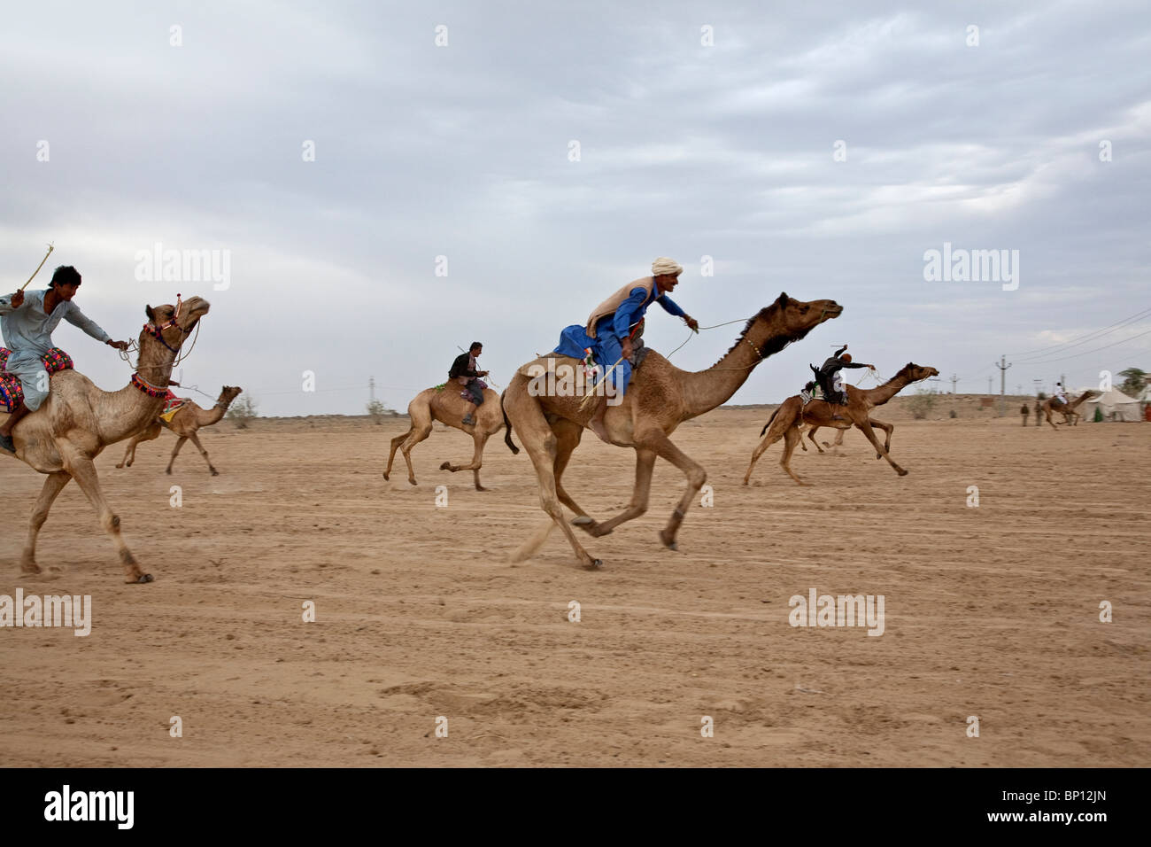 Kamelrennen. Jaisalmer Wüste Festival. Rajasthan. Indien Stockfoto