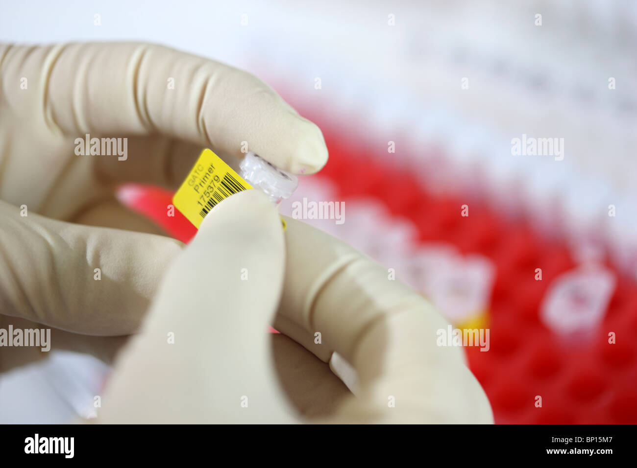 Biotechnologie-Labor, Chemikalien und Reagenzgläser für die DNA-Analyse. Eppendorf-Röhrchen. Stockfoto