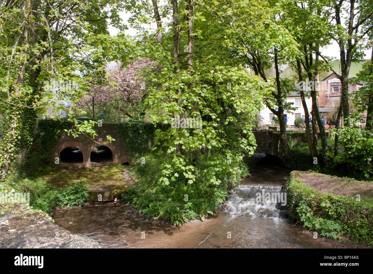 Fluß Exe an Bickleigh Devon England Stockfoto