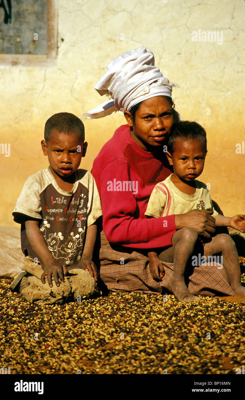 Timoresische Mutter und Kinder sortieren Kaffeebohnen außerhalb ihres Hauses in der Nähe von Maubisse, Timor Leste Stockfoto