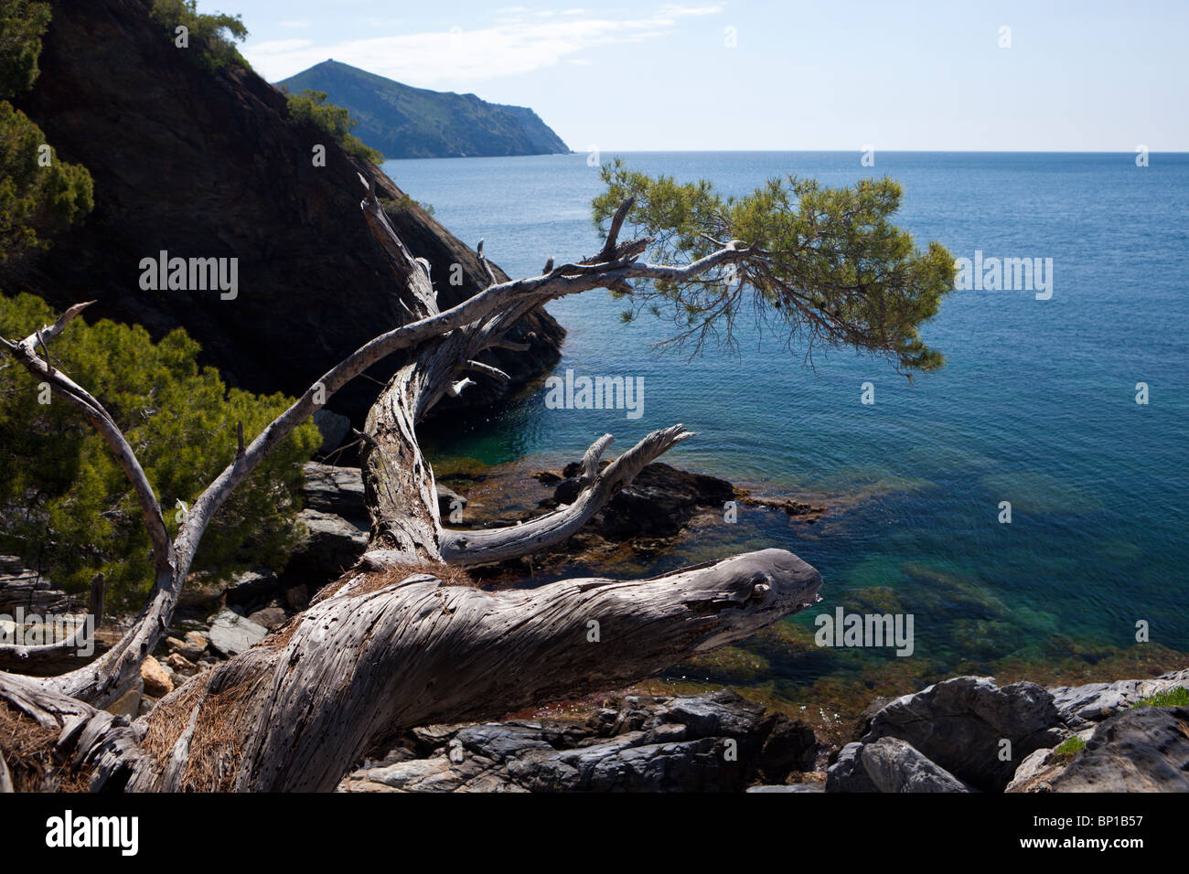 Impressionen vom Cap de Creus, Costa Brava, Spanien Stockfoto