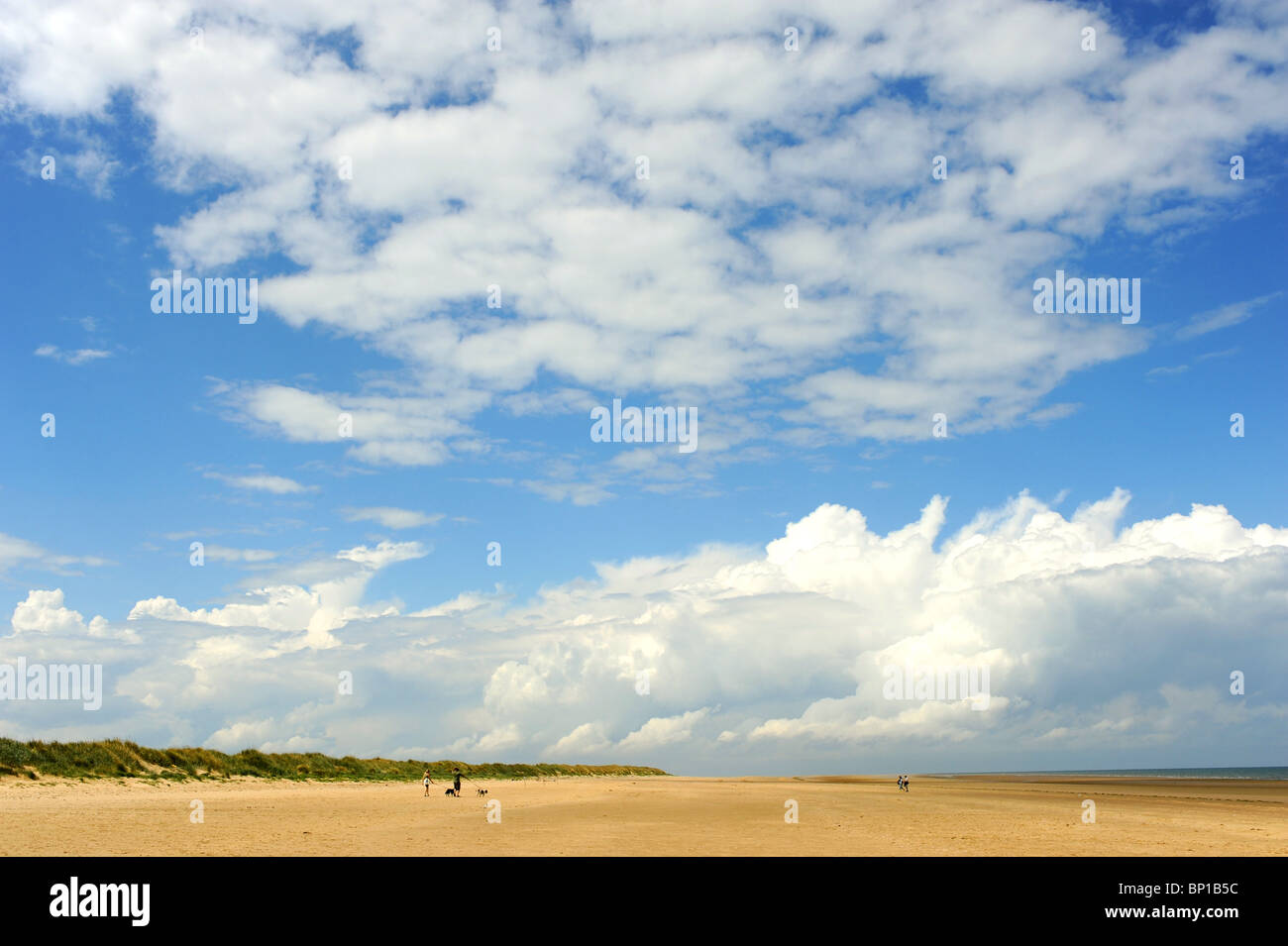 Abgelegenen Sandstrand von Titchwell Marsh RSPB reserve Norfolk Küste UK Stockfoto