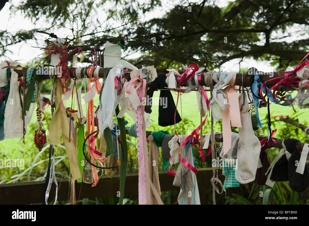 Bänder, Tuch und Geschenke hängen von den Zweigen eines Baumes am gut Heiligen Schrein für Saint Brigid von Kildare. Stockfoto