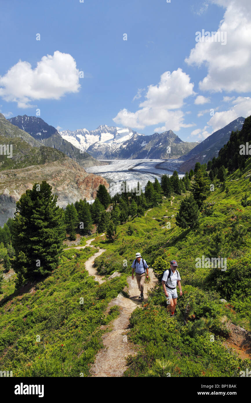 Wandern in den großen Aletschgletscher Stockfoto