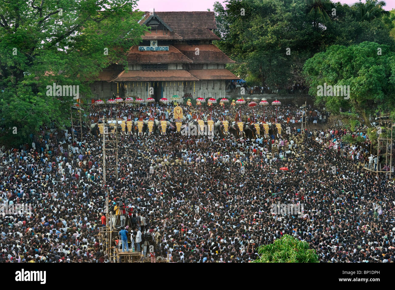 Indien Kerala Thrissur Pooram Elephant Festival Stockfoto Indien Kerala Thrissur Pooram Elephant Festival Stockfoto