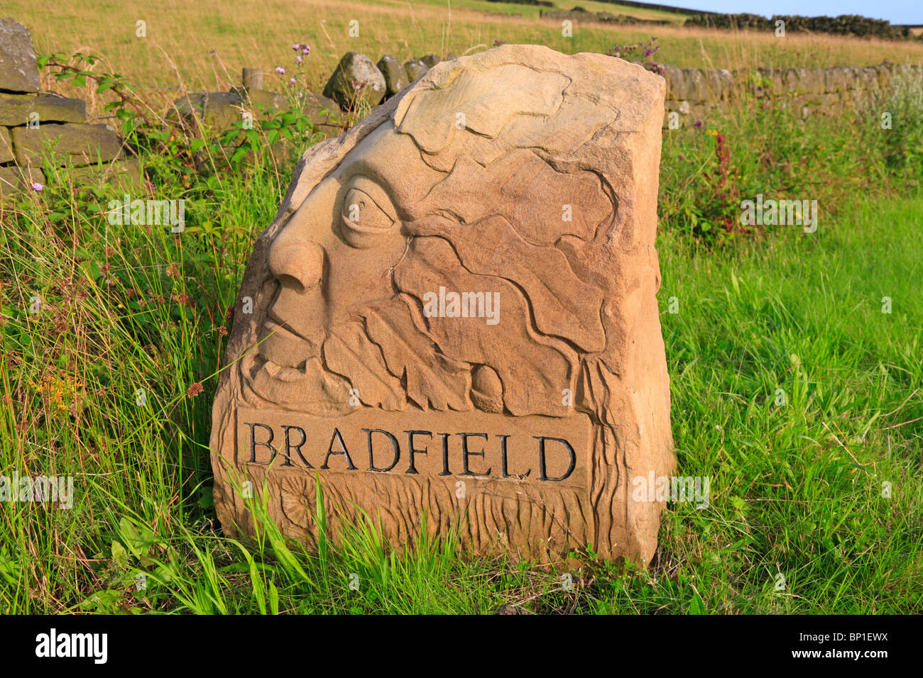 Stone Village Grenze Marker, Bradfield, Sheffield, Peak District National Park, South Yorkshire, England, UK. Stockfoto