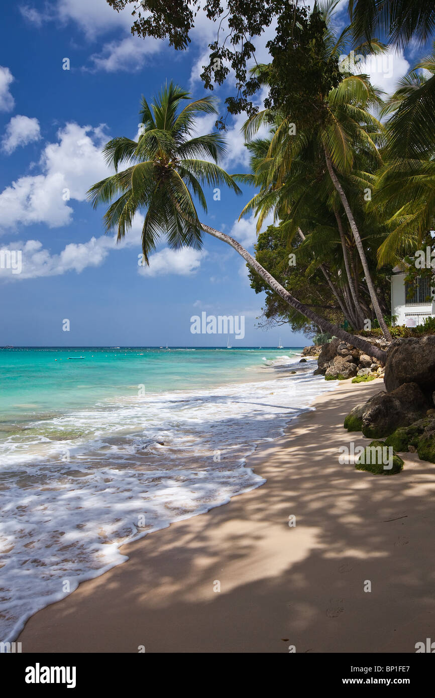 Platinum Coast, St. James, Westküste, Barbados, Strand, Karibik, West Indies Stockfoto