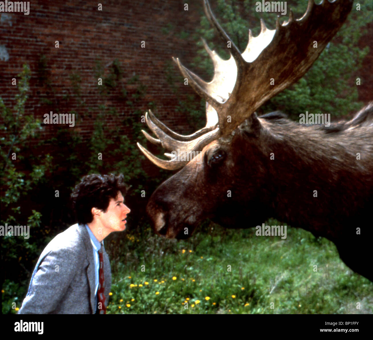 NORTHERN EXPOSURE (1990) ROB KNOCHENMARK NEX 023 MOVIESTORE SAMMLUNG LTD Stockfoto