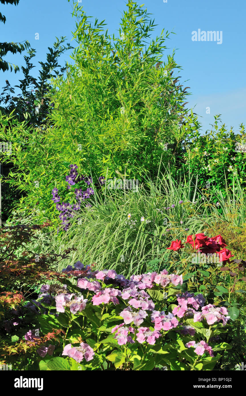 Detail der englische Garten Grenze im Sommer Stockfoto