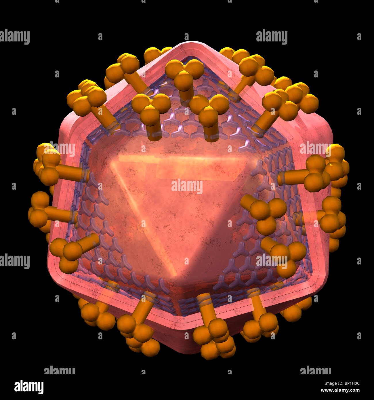 3D Computergrafik von HIV, dem AIDS-virus Stockfoto