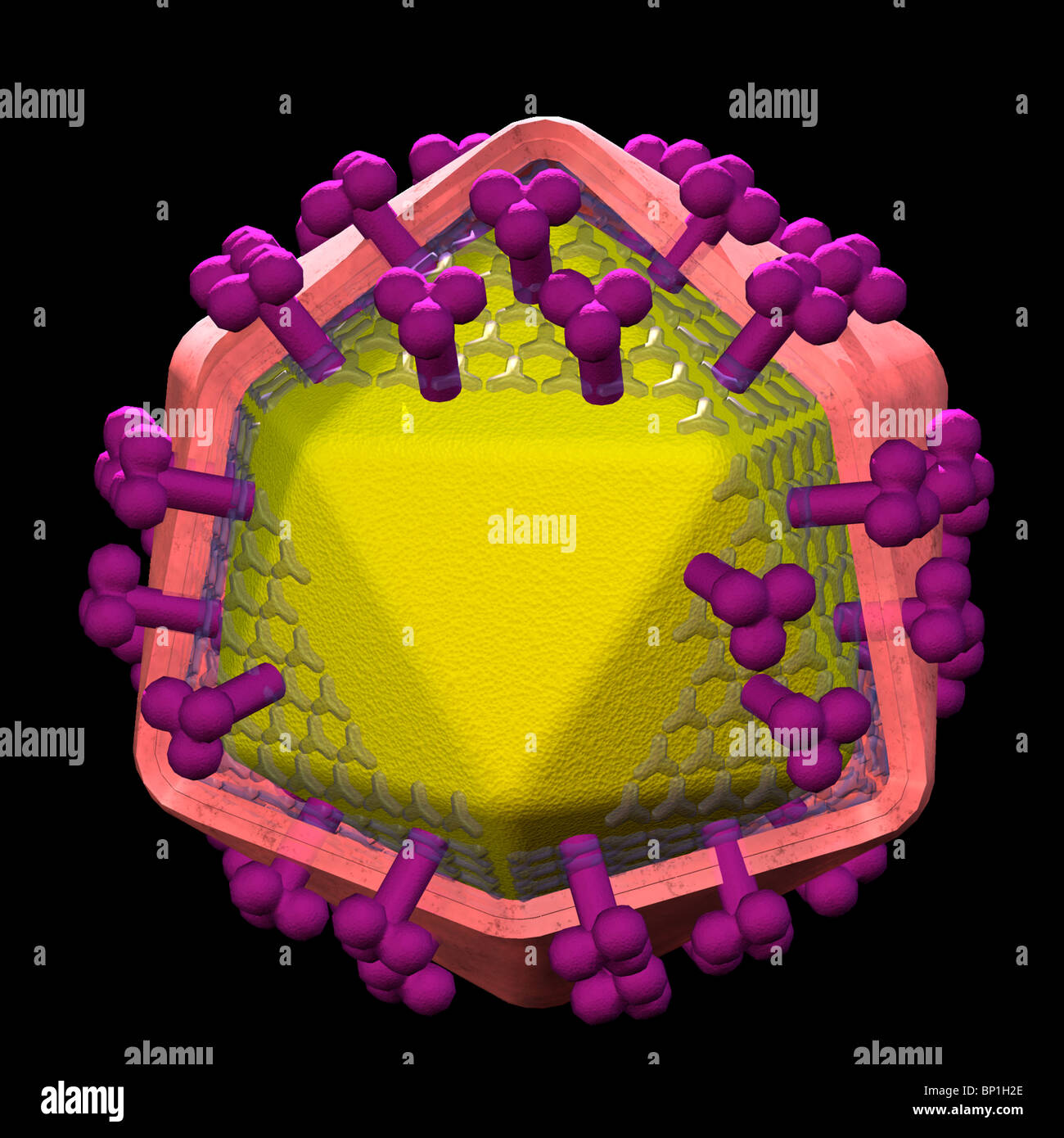 3D Computergrafik von HIV, dem AIDS-virus Stockfoto