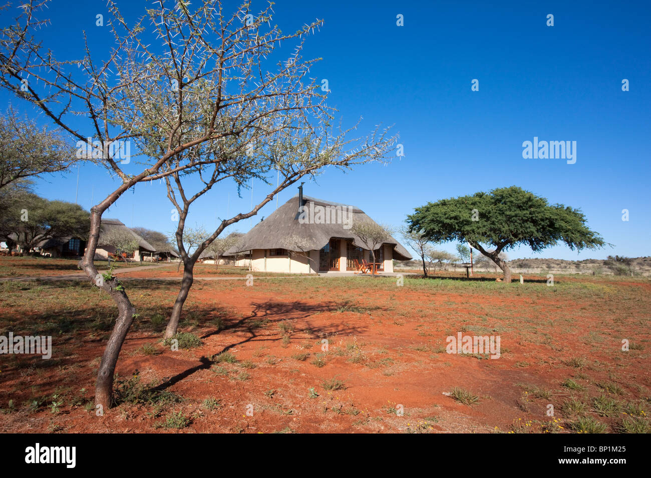 Mosu Lodge, Mokala Nationalpark, Northern Cape, Südafrika Stockfoto