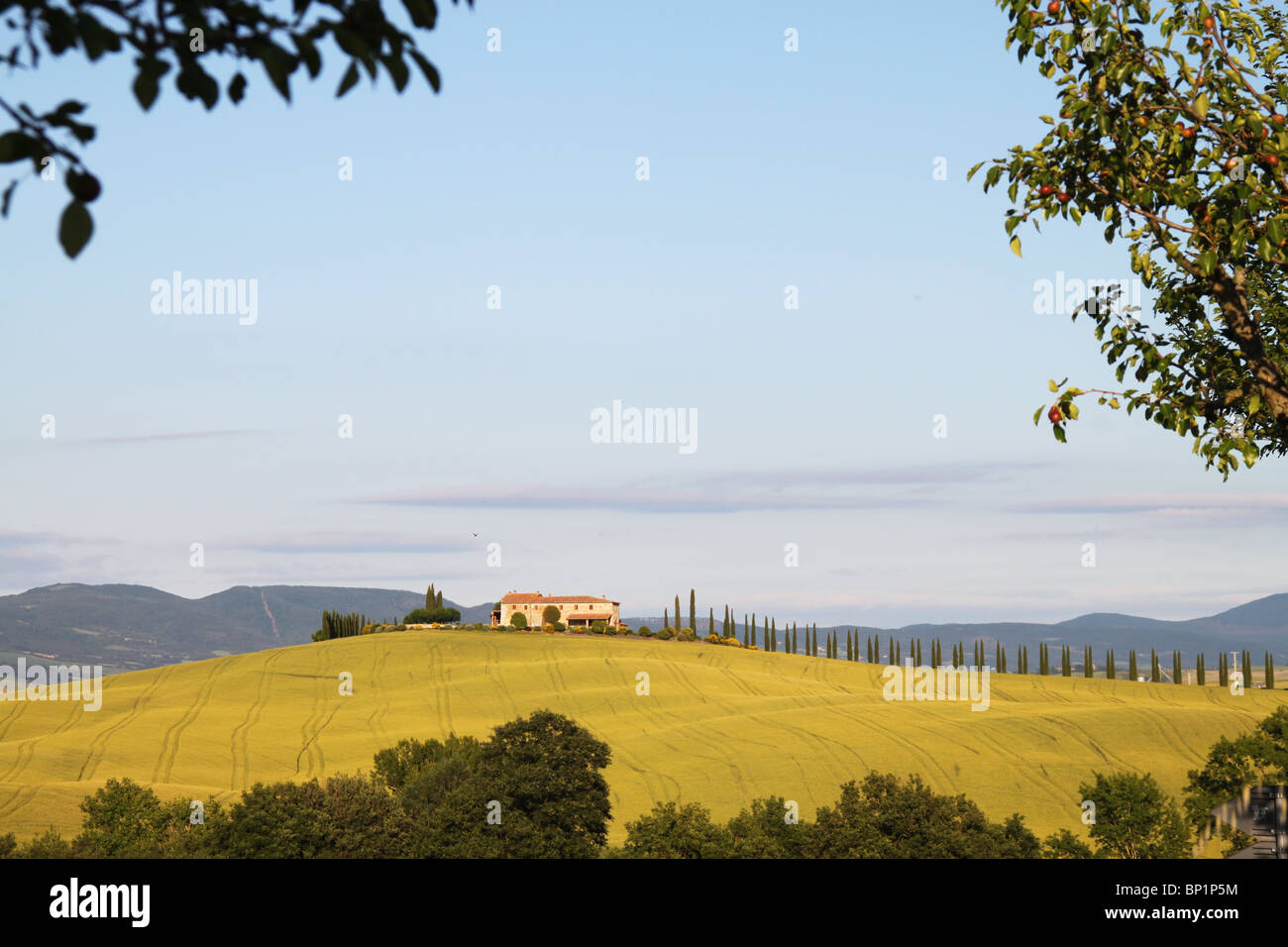Blick auf die toskanischen Hügel mit Zypressen und Bauernhaus aus Pienza, Toskana, Italien Stockfoto
