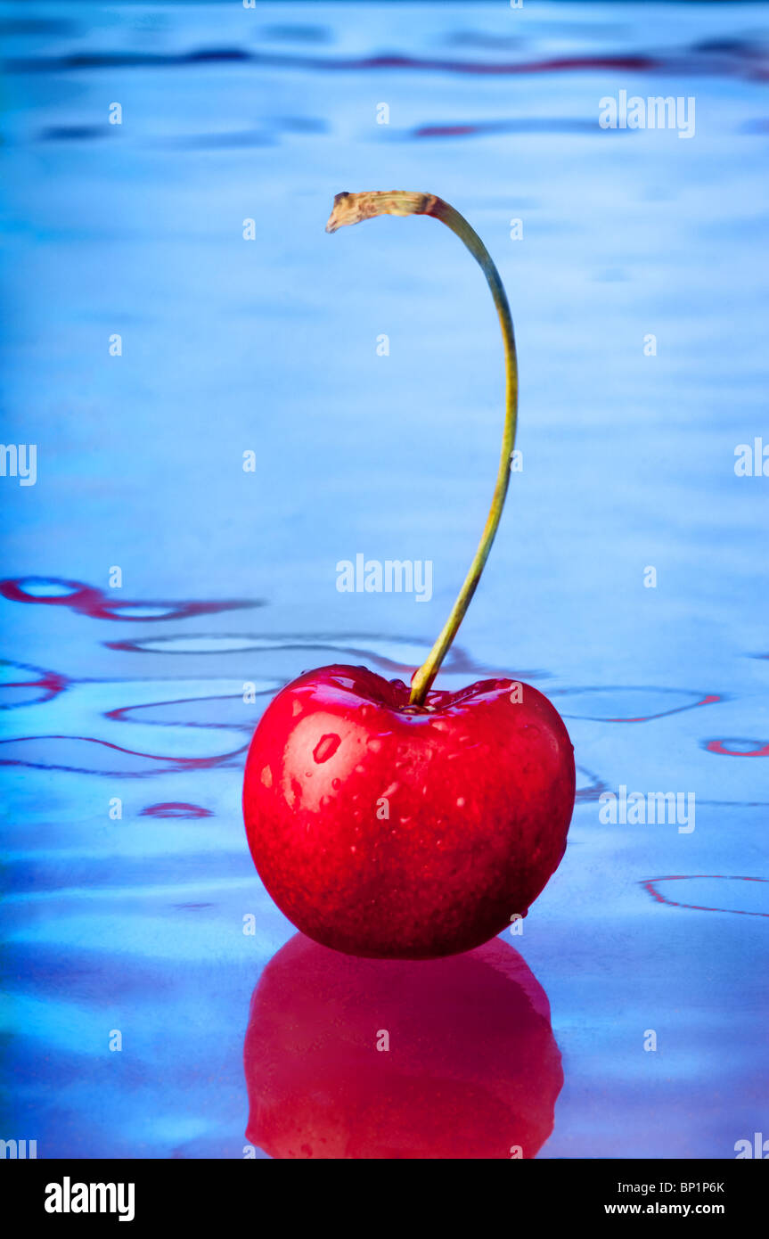 Kirschfrucht auf blauen Oberfläche Stockfoto