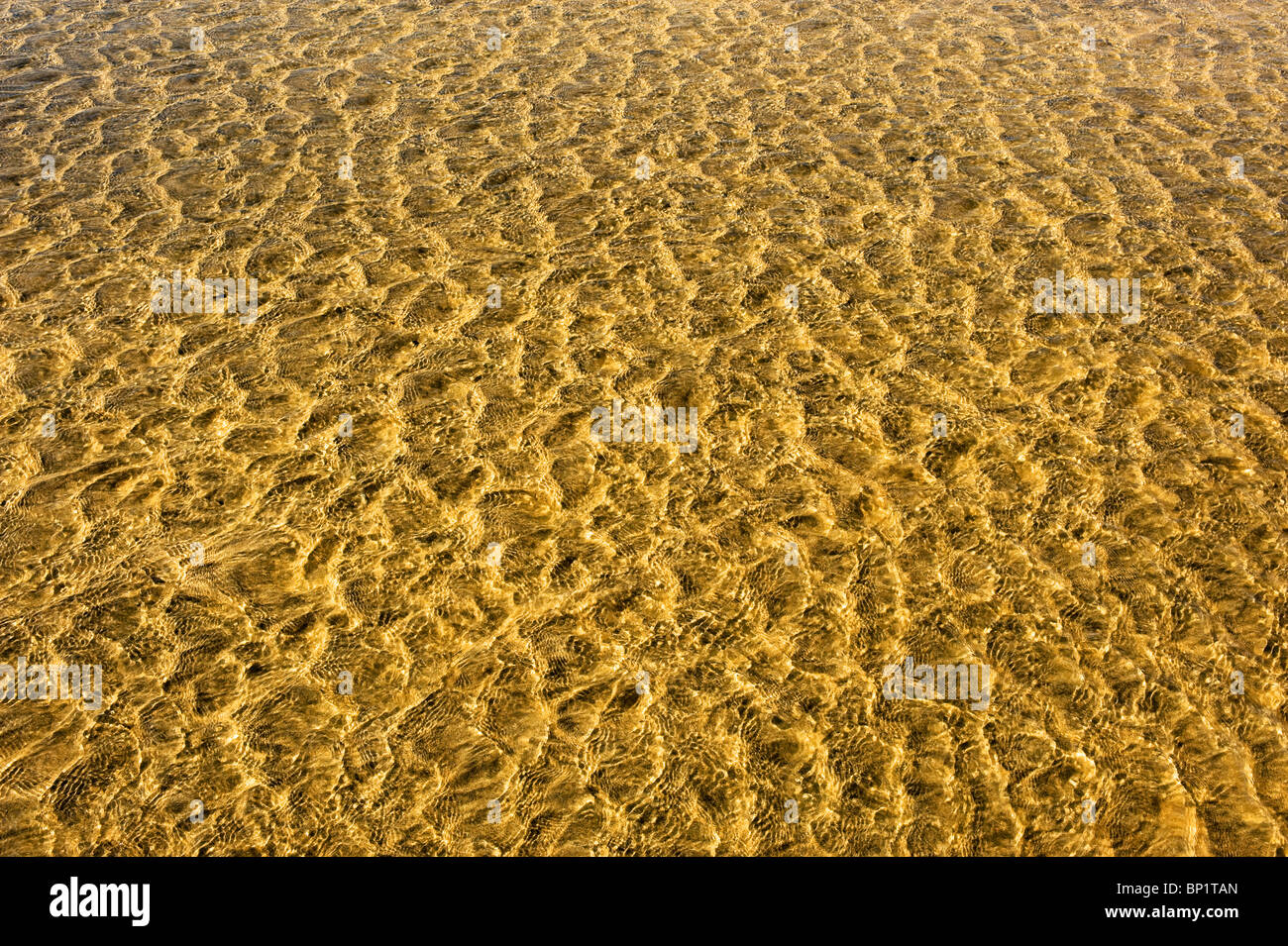 Wellen im Wasser am Strand. Foto von Gordon Scammell Stockfoto