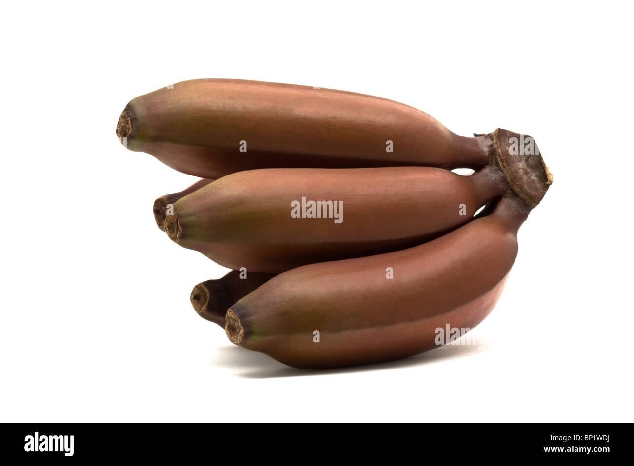 Rote Bananen Stockfoto