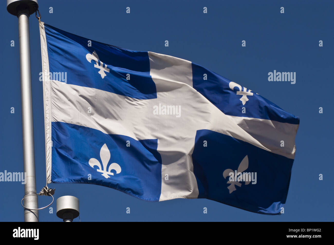 Blaue und weiße Quebec Fahne mit Lilien, Montreal, Kanada, blue skye Stockfoto
