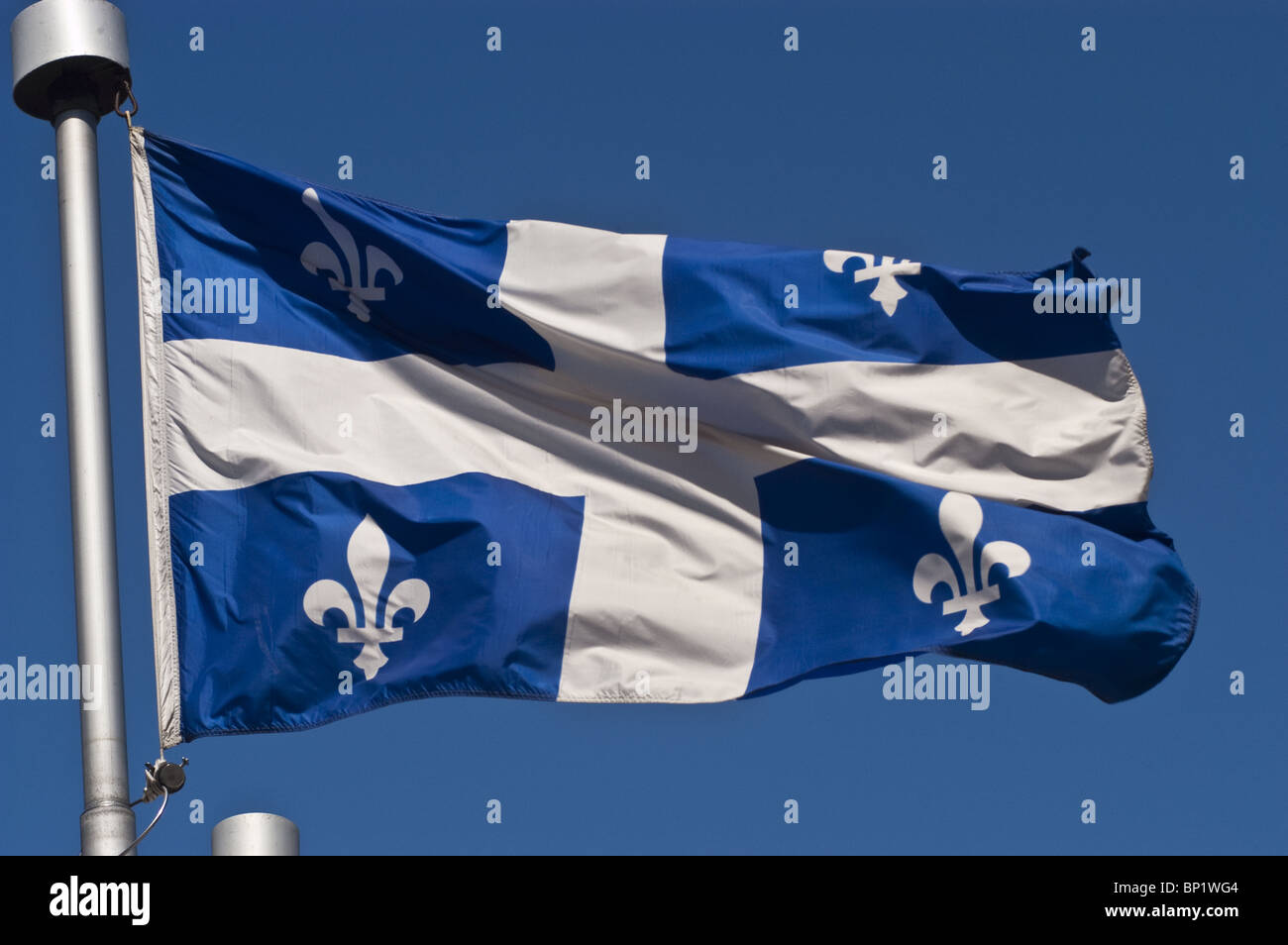 Blaue und weiße Quebec Fahne mit Lilien, Montreal, Kanada, blue skye Stockfoto